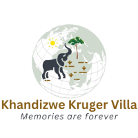 Kandizwe_Logo_V3-removebg-preview